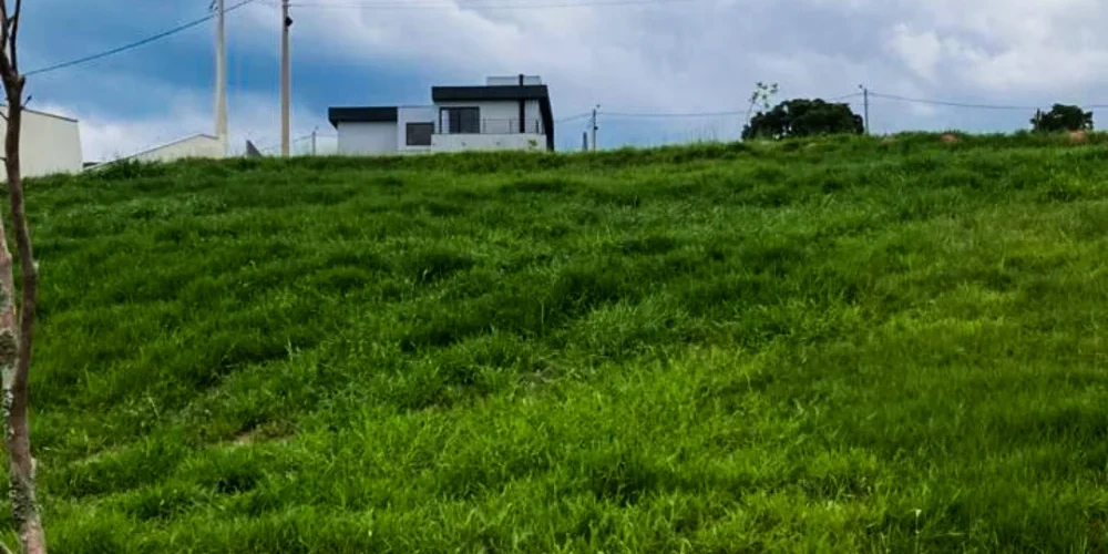 Lote Terra das álvoradas